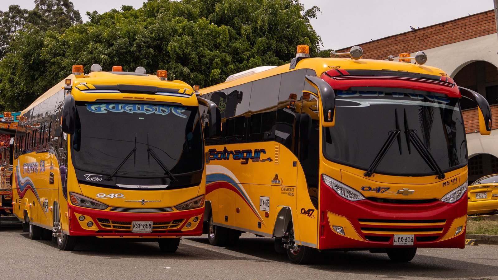 Buses de SOTRAGUR S.A. listos para rutas regionales